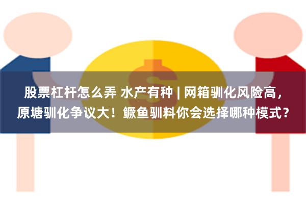 股票杠杆怎么弄 水产有种 | 网箱驯化风险高，原塘驯化争议大！鳜鱼驯料你会选择哪种模式？