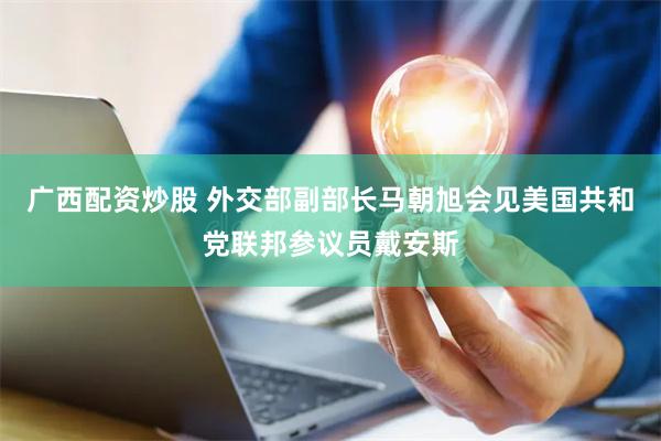 广西配资炒股 外交部副部长马朝旭会见美国共和党联邦参议员戴安斯