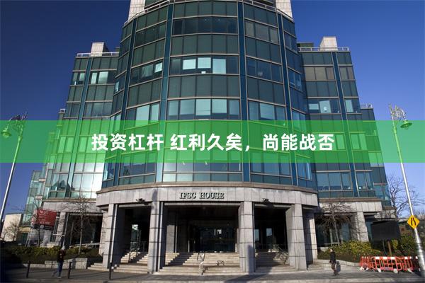 投资杠杆 红利久矣，尚能战否