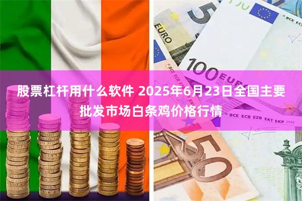 股票杠杆用什么软件 2025年6月23日全国主要批发市场白条鸡价格行情