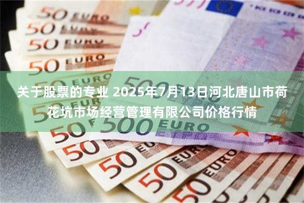 关于股票的专业 2025年7月13日河北唐山市荷花坑市场经营管理有限公司价格行情