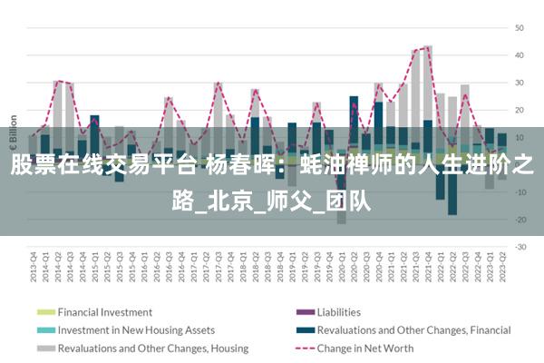股票在线交易平台 杨春晖：蚝油禅师的人生进阶之路_北京_师父_团队