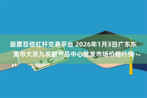 股票百倍杠杆交易平台 2026年1月3日广东东莞市大京九农副产品中心批发市场价格行情